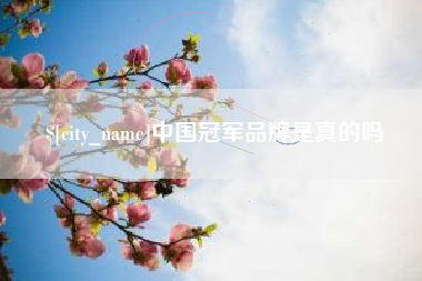 文昌中国冠军品牌是真的吗