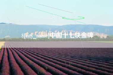 文昌中国十七块金牌