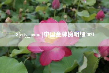 文昌中国金牌榜明细2021