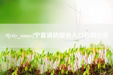 文昌宁夏消防报名入口官网公告