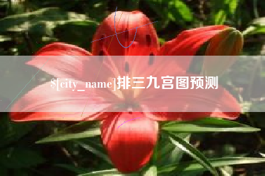 文昌排三九宫图预测