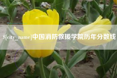 文昌中国消防救援学院历年分数线