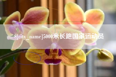 文昌5000米长跑国家运动员