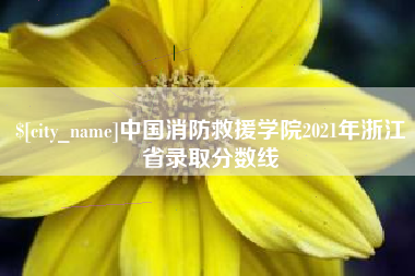 文昌中国消防救援学院2021年浙江省录取分数线