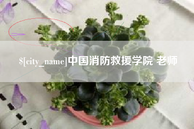 文昌中国消防救援学院 老师