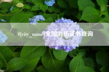 文昌全国消防证书查询