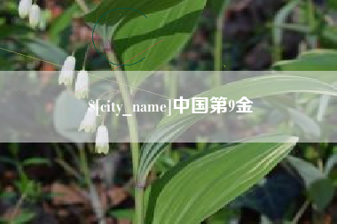 文昌中国第9金