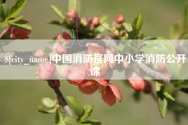 文昌中国消防官网中小学消防公开课