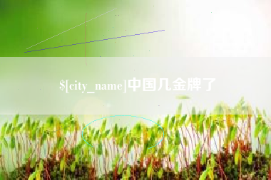 文昌中国几金牌了
