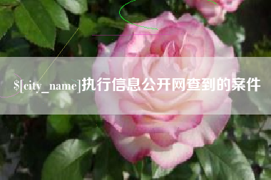 文昌执行信息公开网查到的案件