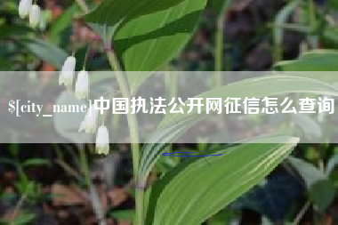 文昌中国执法公开网征信怎么查询