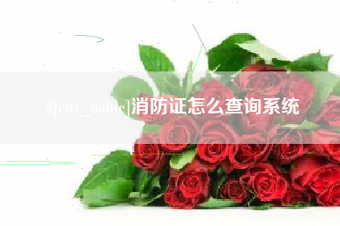 文昌消防证怎么查询系统