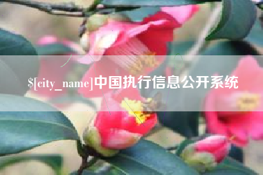 文昌中国执行信息公开系统
