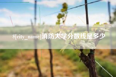 文昌消防大学分数线是多少