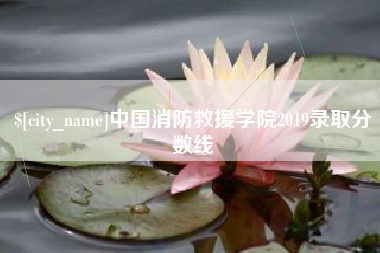 文昌中国消防救援学院2019录取分数线