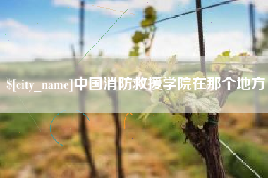 文昌中国消防救援学院在那个地方