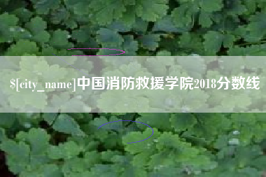 文昌中国消防救援学院2018分数线