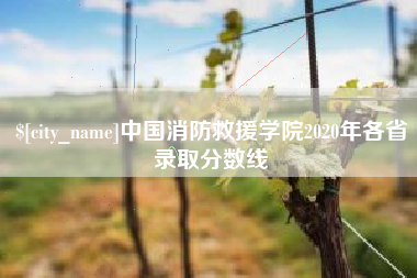 文昌中国消防救援学院2020年各省录取分数线