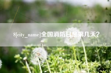 文昌全国消防日是第几天？