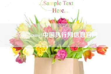 文昌中国执行网信息官网