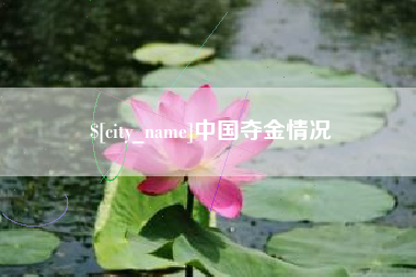 文昌中国夺金情况