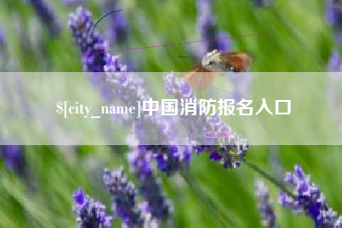 文昌中国消防报名入口