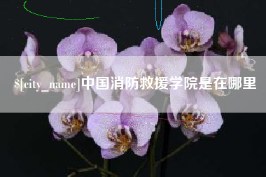 文昌中国消防救援学院是在哪里