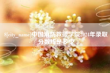 文昌中国消防救援学院2024年录取分数线是多少