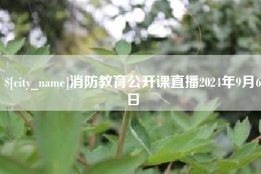 文昌消防教育公开课直播2024年9月6日