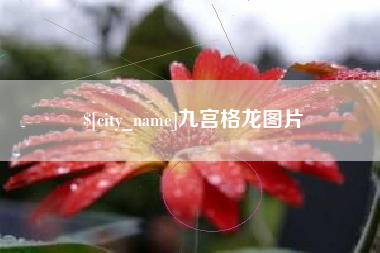 文昌九宫格龙图片