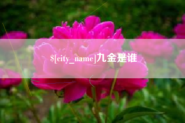 文昌九金是谁
