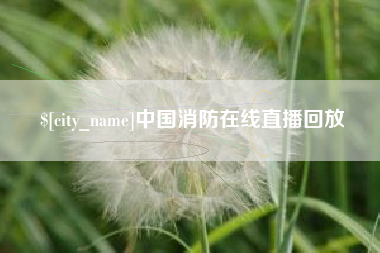 文昌中国消防在线直播回放