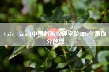 文昌中国消防救援学院2019年录取分数线