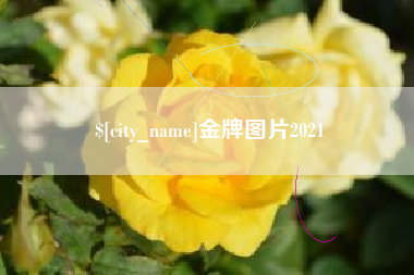 文昌金牌图片2021
