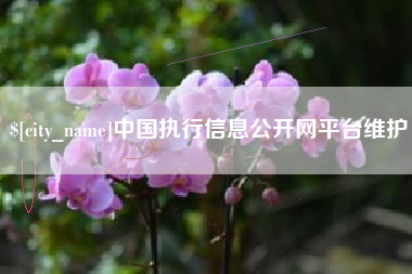 文昌中国执行信息公开网平台维护