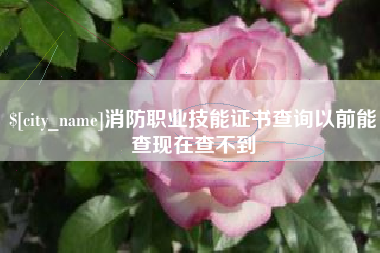 文昌消防职业技能证书查询以前能查现在查不到