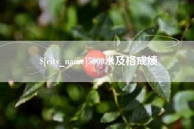 文昌5000米及格成绩