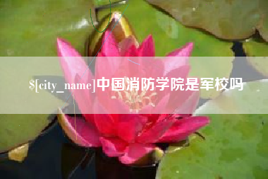 文昌中国消防学院是军校吗