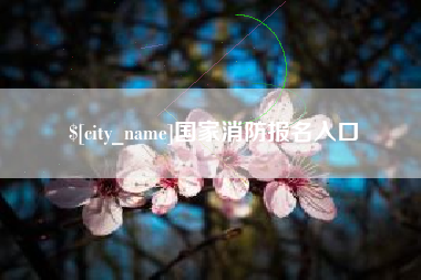 文昌国家消防报名入口