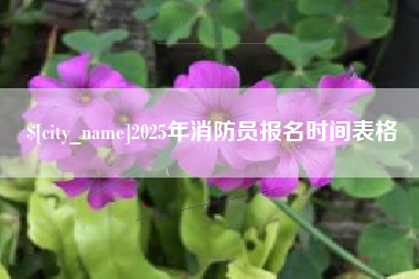 文昌2025年消防员报名时间表格