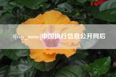 文昌中国执行信息公开网后