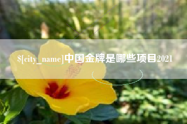 文昌中国金牌是哪些项目2021