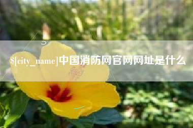 文昌中国消防网官网网址是什么