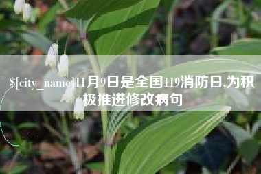 文昌11月9日是全国119消防日,为积极推进修改病句