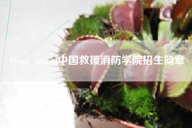 文昌中国救援消防学院招生简章