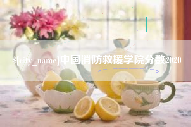 文昌中国消防救援学院分数2020