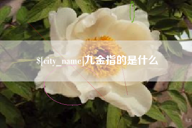 文昌九金指的是什么