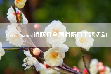 文昌消防日全国消防日主题活动