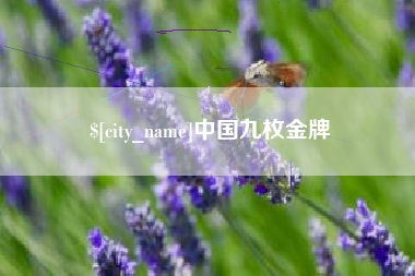 文昌中国九枚金牌