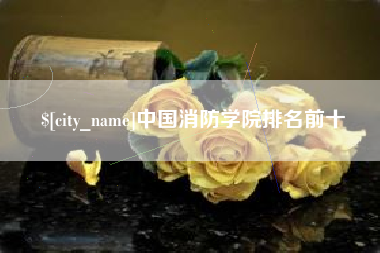 文昌中国消防学院排名前十